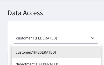 Select Customer:1 Data Domain